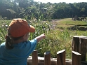 Kids_DZoo (22)